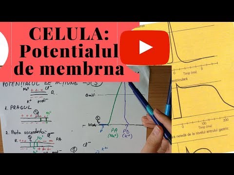 ADMITERE MEDICINA: CELULA - Potentialul de membrana- Partea 3/3