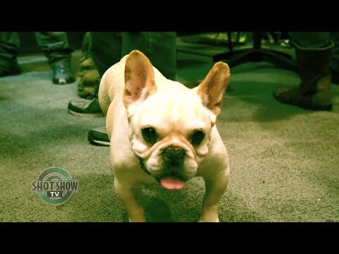 SHOT Show TV Headlines - Jan. 25 | 2019 SHOT Show