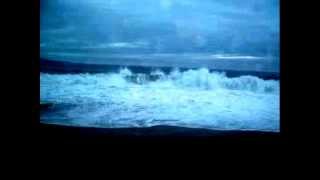 LOS YONICS MAL HERIDO