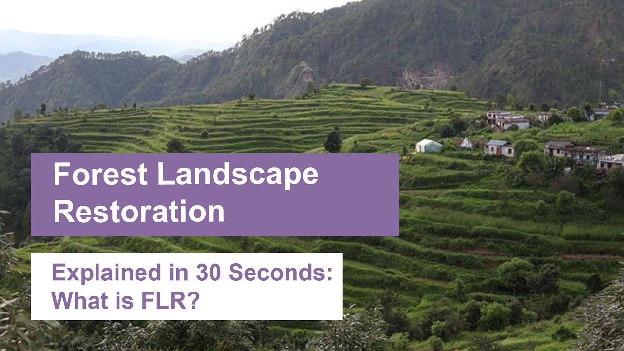 Quick Byte: What is Forest Landscape Restoration?