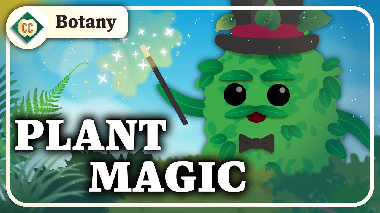 Photosynthesis and Cellular Respiration: Crash Course Botany #5