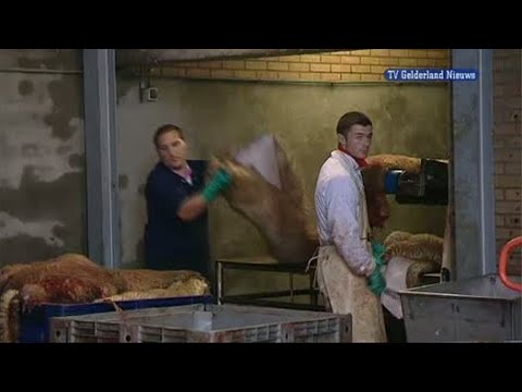 GLD Nieuws 7 november 2011 - Nieuws