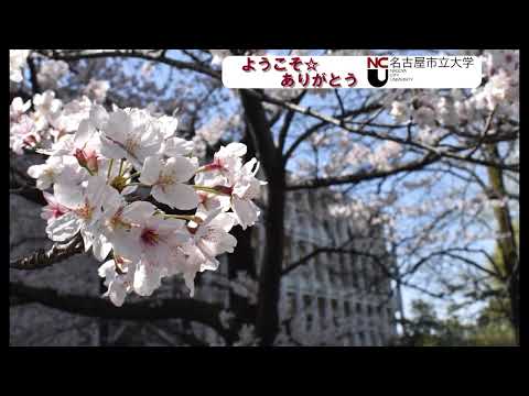 人文学科 桜の似合うキャンパス―名古屋市立大学―