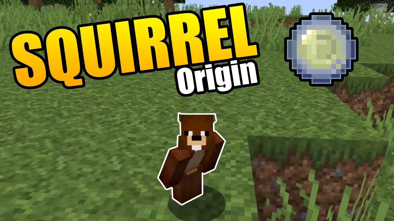 Minecraft Origins Mod: Custom Squirrel Origin Datapack!