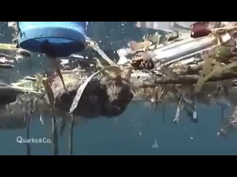 Quarks und co   Plastik   Fluch oder Segen