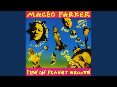 Shake Everything You've Got (Live)