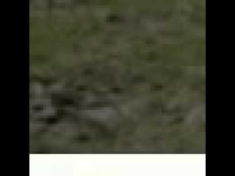 Lost Angel- Brać (by Cleo,Donatan, Enej)