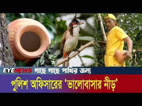 ঝড়ে মারা যায় পাখির ছানা, গাছে বাসা দিলেন পুলিশ অফিসার