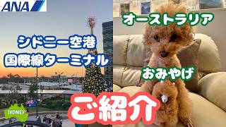 【AUSTRALIA / FLIGHT VLOG】ANA深夜フライトで日本へ帰国✈️購入品もご紹介🛍️