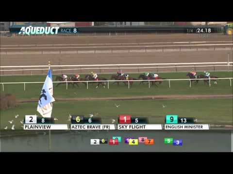 Sky Flight - 2015 Artie Schiller Stakes