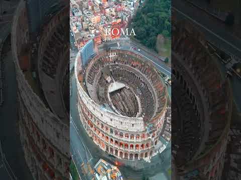 What does the Roma Colosseum look like?