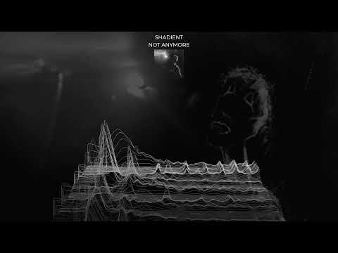 SHADIENT - NOT ANYMORE