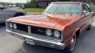 سيارة Dodge Coronet 500 | صورة 4 - Autoline