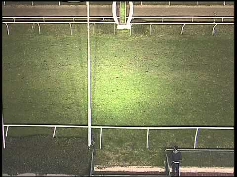 Galoppo 27/02/2015 - 6° corsa