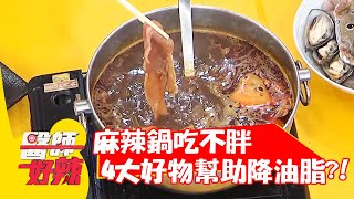 麻辣鍋吃不胖？營養師：4大好物幫助降油脂？！【#醫師好辣】20220106 part3 EP1266 柯有倫 愛紗