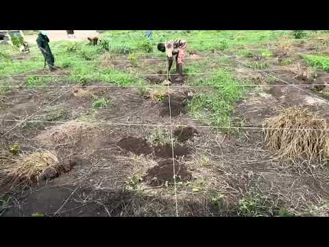 SETTING BARICADES FOR PLANTATION AT FULLBASKET FARMS