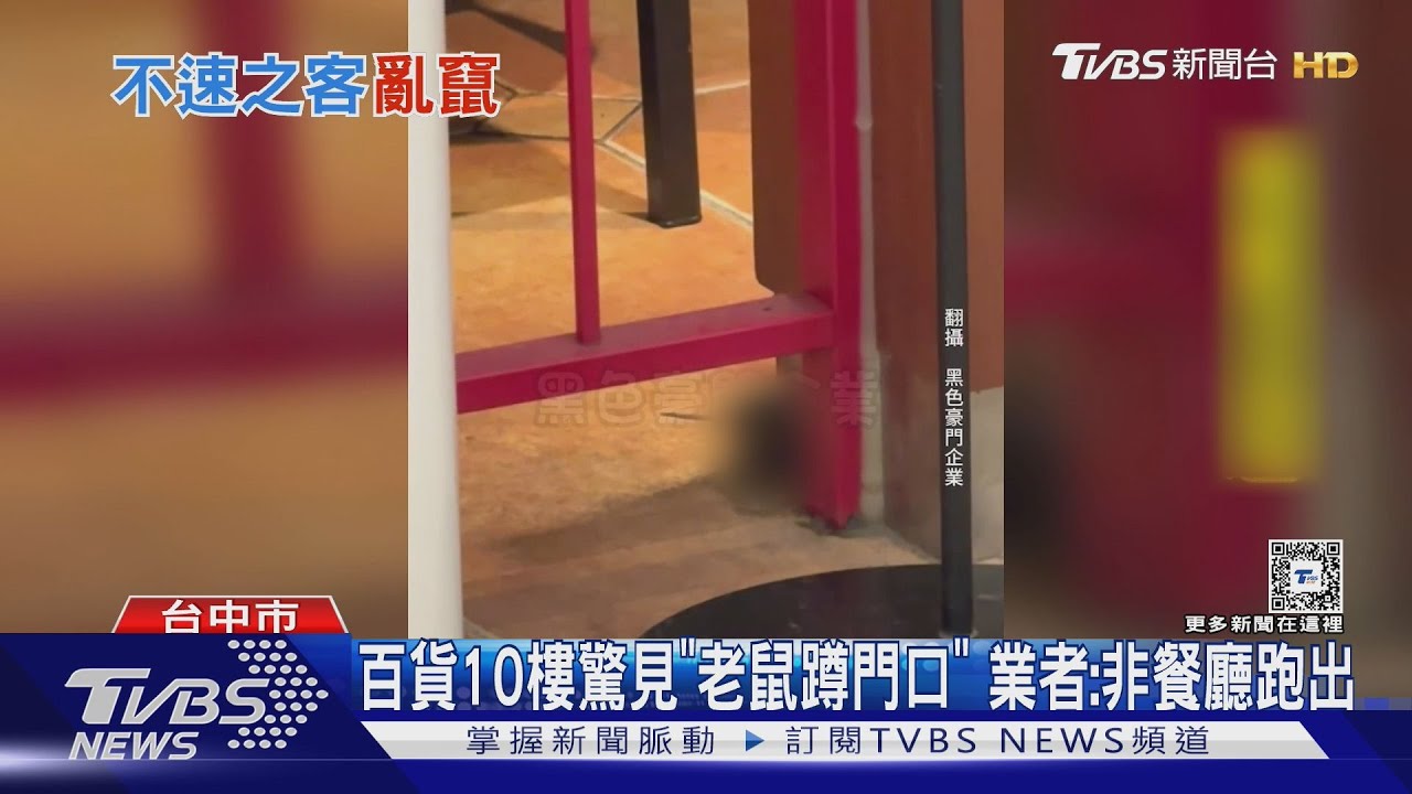 百貨10樓驚見「老鼠蹲門口」 業者:非餐廳跑出