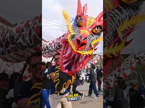 ular naga barongsai terbesar nih teman teman 🙈 #karnaval #naga #barongsai