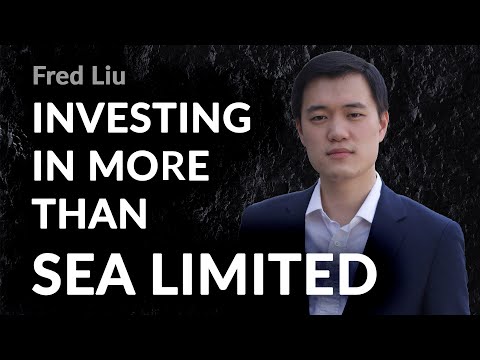 Why are you invested in Sea Limited and Carvana? A Q&A with Fred Liu (Hayden Capital)