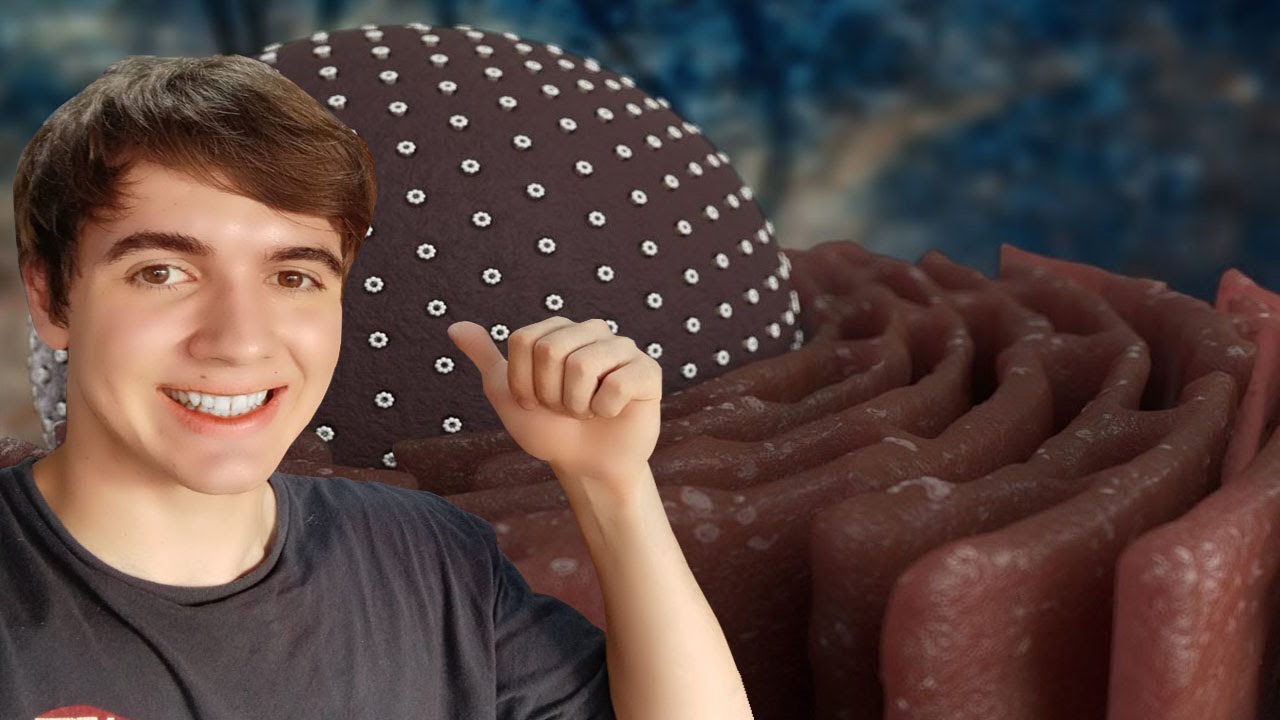 RETÍCULO ENDOPLASMÁTICO - EL VIDEO DEFINITIVO