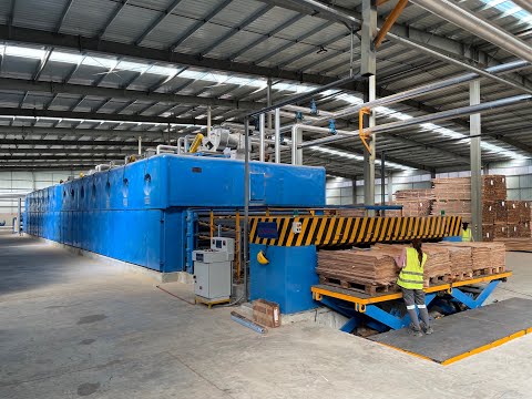 Automatic Veneer Dryer Machine