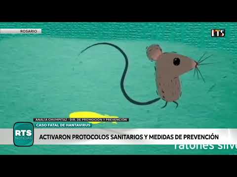 MUERTE POR HANTAVIRUS EN IBARLUCEA | PROVINCIA ACTIVÓ LOS PROTOCOLOS SANITARIOS