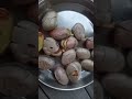 Fanasachya Biya Recipe Jackfruit Seeds
