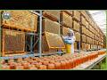 How Ukraine Farming Leads EU with 80 Million Tons of Crops & Meat - High Tech Agriculture DEFAULT Thumbnail
