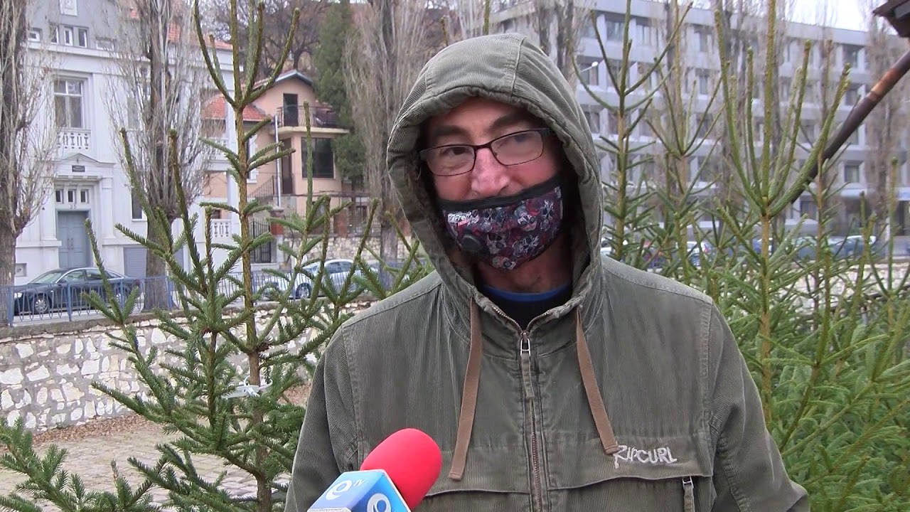 Между 10 и 30 лв. струват естествените елхи на пазара в Хасково