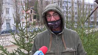 Между 10 и 30 лв. струват естествените елхи на пазара в Хасково