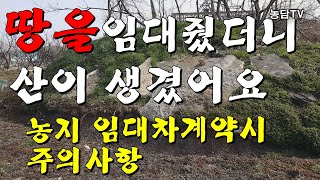 땅을 임대줬더니 산이 생겼어요. 농지임대차계약시 주의사항