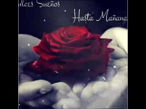 Amor Perdoname, Los Rodarte