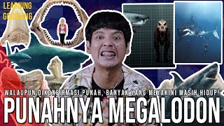 Download lagu Kenapa Megalodon Punah? Kepala T-Rex Bisa Masuk Mulutnya! Masih Ada Di Laut Dalam? |LearningGoogling mp3
