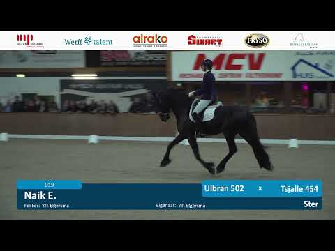 Zadelexamen Centraal Onderzoek | 14 oktober 2023