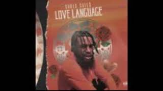 CHRIS SAILS . LOVE LANGUAGE ( MUSIC VIDEO