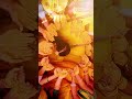 Wedding Haldi Video New Reels 2023 For Wedding Haldi Ceremony Video Idea 2023 Wedding