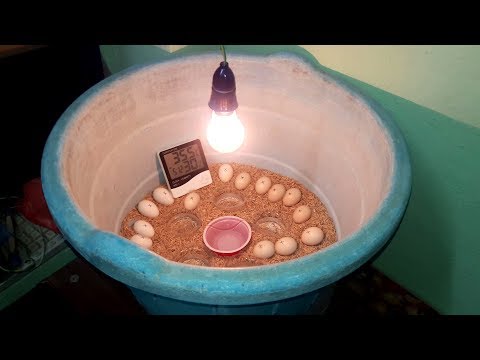 DIY-Homemade Incubator || How To Make Egg Incubator Simple And Easy (Hatching Chicken Eggs)