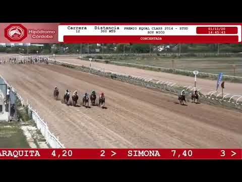 12° Carrera 300 mts (Hip CBA) Ganador: Don Matias