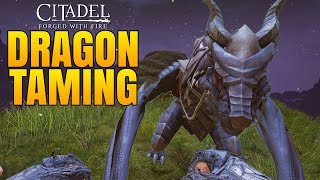 Citadel: Forged with Fire video thumbnail