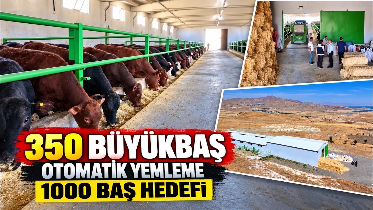 Devlet desteğiyle modern çiftlik kurdu