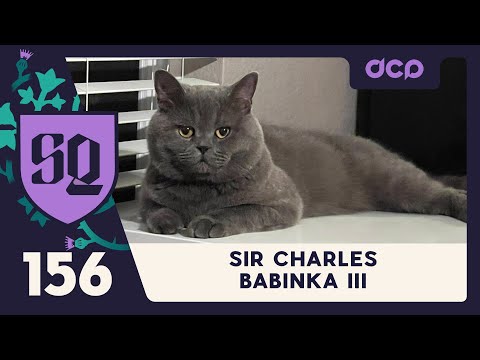 SideQuest Ep. 156 - First Descendant - Tefty's New Cat - Game Of Thrones VS. Lord Of The Rings