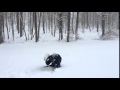 Snow Somersault Epic Fail