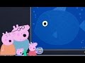 Peppa Pig Episodes New Compilation 2017 25