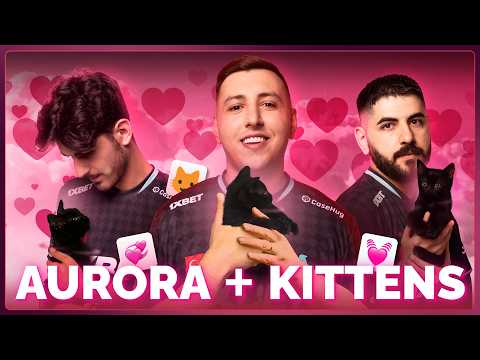 The Cutest Interview Ever (With Kittens Involved)