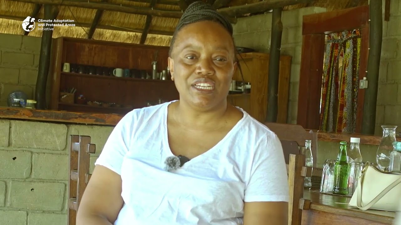 Breathing Life into the Sioma Ngwezi National Park through Wildlife Translocation