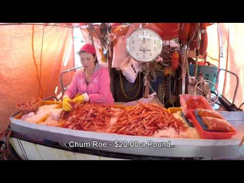 download lagu mp3 mp4 Fresh Seafood Victoria Bc, download lagu Fresh Seafood Victoria Bc gratis, unduh video klip Fresh Seafood Victoria Bc