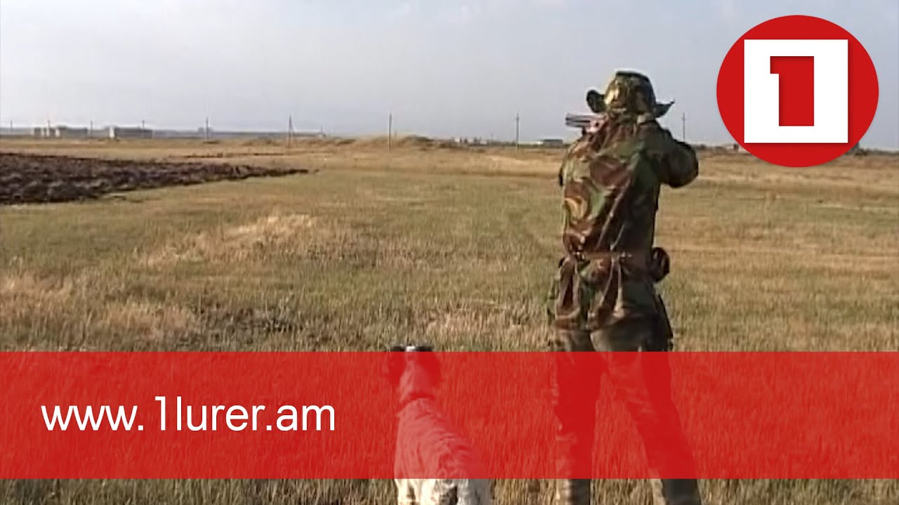 Մեկնարկում է որսաշրջանը. այս տարի կարելի է նաև վարազ որսալ