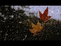 Dobro #1 - David Sylvian Cover (Rainforest mix)