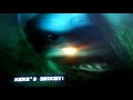 Finding Nemo Shark Chase