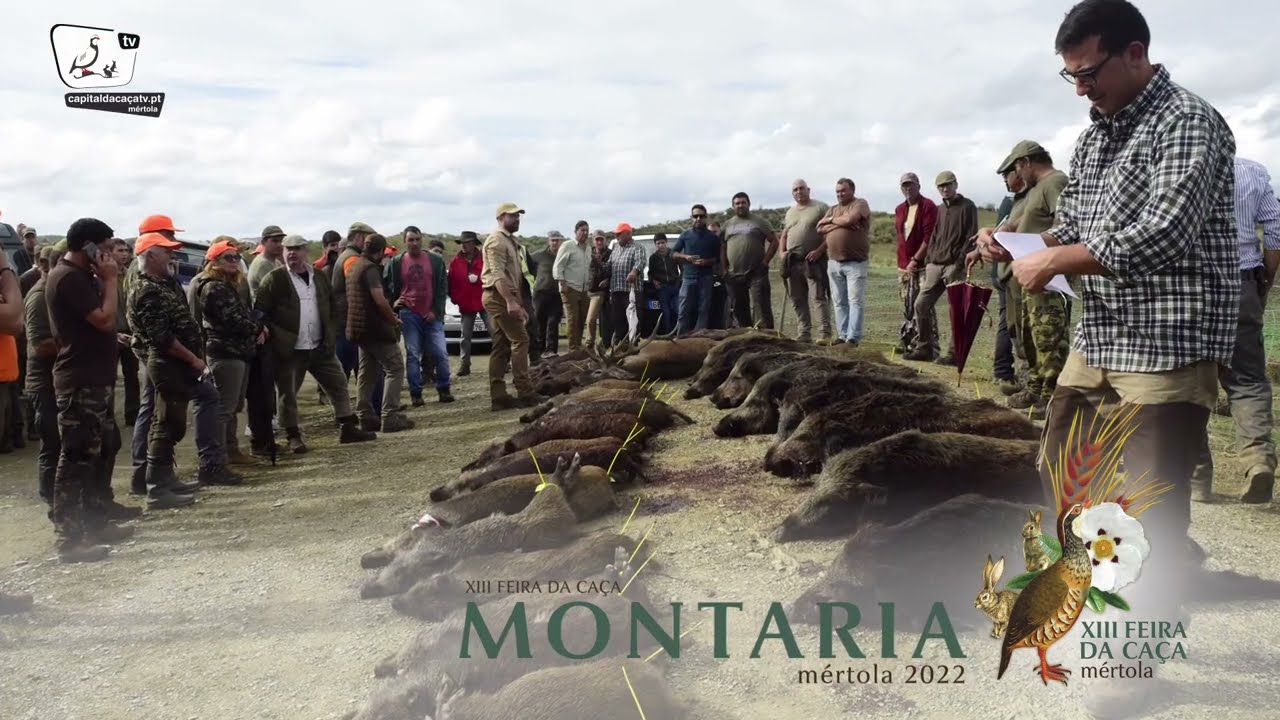 Montaria da XIII Feira da Caça